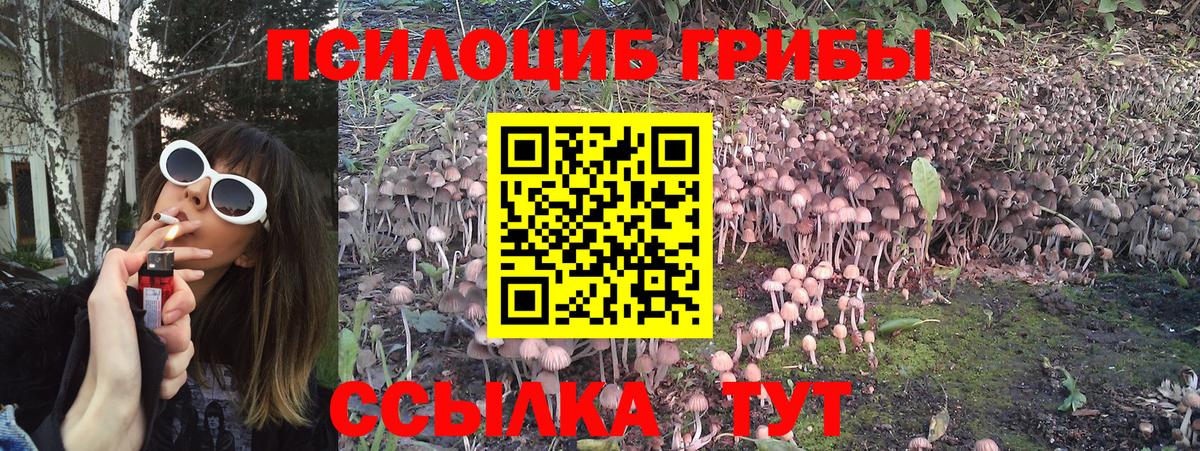 Псилоцибиновые грибы прущие грибы  Галлюциногенные грибы Psilocybine cubensis  Вход с VPN  Лениногорск 